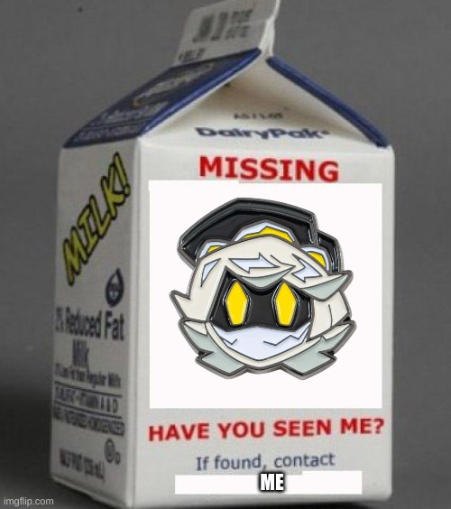 N is missing | ME | image tagged in milk carton | made w/ Imgflip meme maker