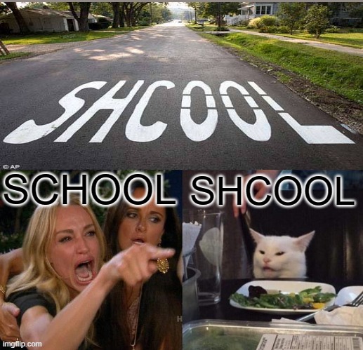 Woman Yelling At Cat | SCHOOL; SHCOOL | image tagged in memes,woman yelling at cat,youhadonejob,funny | made w/ Imgflip meme maker