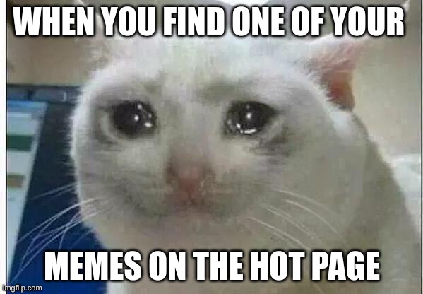 Finally happened to me | WHEN YOU FIND ONE OF YOUR; MEMES ON THE HOT PAGE | image tagged in crying cat,meme,happy cat,cat | made w/ Imgflip meme maker