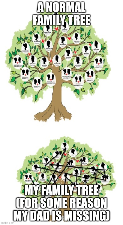 Family tree | A NORMAL FAMILY TREE; MY FAMILY TREE (FOR SOME REASON MY DAD IS MISSING) | image tagged in family tree | made w/ Imgflip meme maker