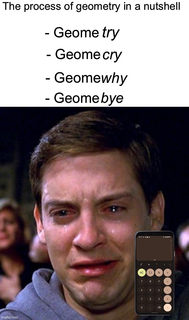 This took me way too long to make for some reason lmao |  The process of geometry in a nutshell; try; - Geome; cry; - Geome; - Geome; why; bye; - Geome | image tagged in crying peter parker,memes,funny,true story,relatable memes,school | made w/ Imgflip meme maker