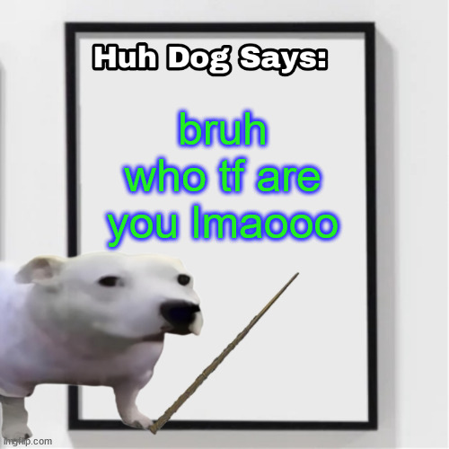 Huh Dog Says | bruh who tf are you lmaooo | image tagged in huh dog says | made w/ Imgflip meme maker