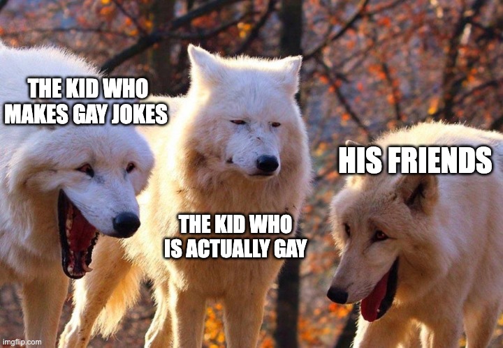 2/3 wolves laugh | THE KID WHO MAKES GAY JOKES; HIS FRIENDS; THE KID WHO IS ACTUALLY GAY | image tagged in 2/3 wolves laugh | made w/ Imgflip meme maker