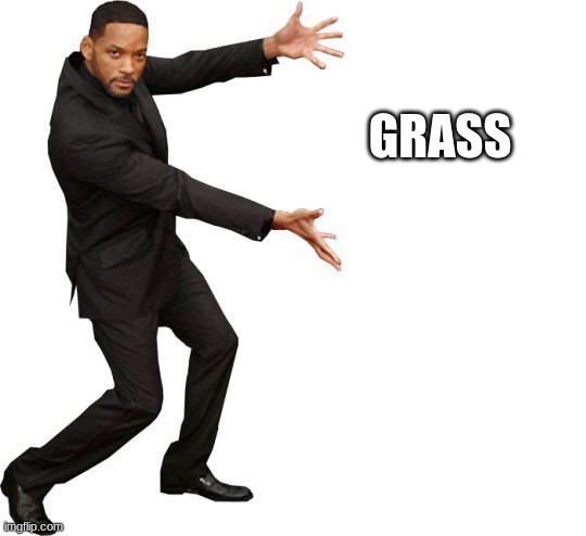 Tada Will smith | GRASS | image tagged in tada will smith | made w/ Imgflip meme maker
