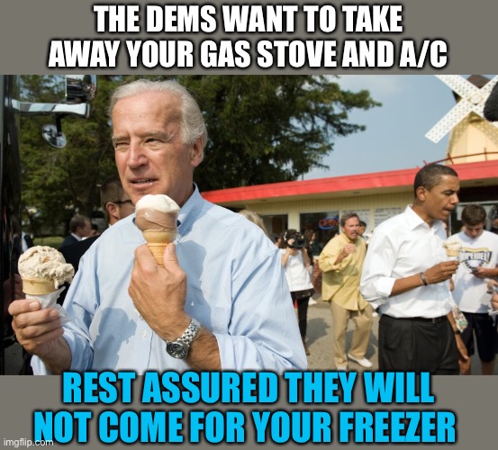 Joe Biden Ice Cream Day | THE DEMS WANT TO TAKE AWAY YOUR GAS STOVE AND A/C; REST ASSURED THEY WILL NOT COME FOR YOUR FREEZER | image tagged in joe biden ice cream day,gas stove,air conditioning,ice cream | made w/ Imgflip meme maker