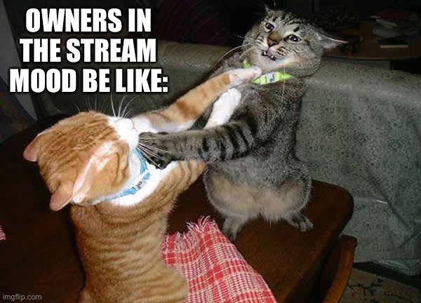 Clown fight | OWNERS IN THE STREAM MOOD BE LIKE: | image tagged in two cats fighting for real | made w/ Imgflip meme maker