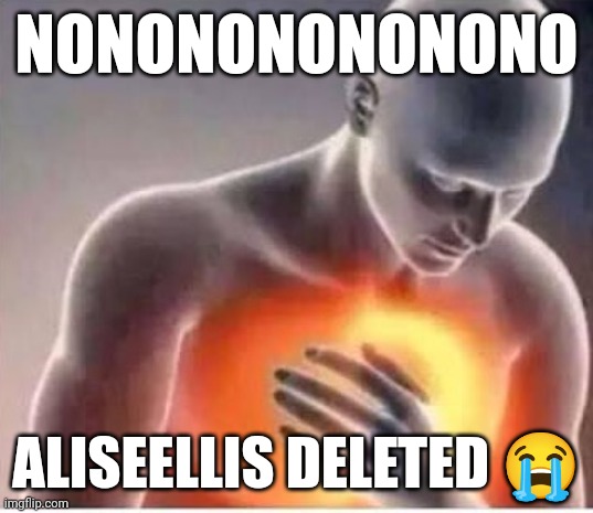 They will be remembered | NONONONONONONO; ALISEELLIS DELETED 😭 | image tagged in chest pain | made w/ Imgflip meme maker