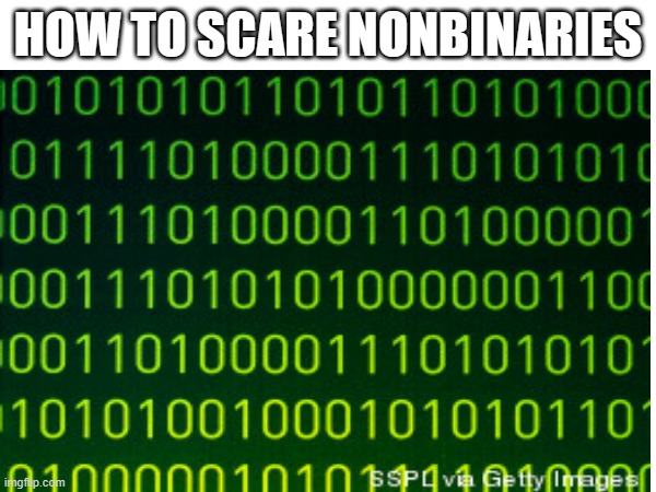 HOW TO SCARE NONBINARIES | image tagged in binary,non binary,lgbt,lgbtq | made w/ Imgflip meme maker
