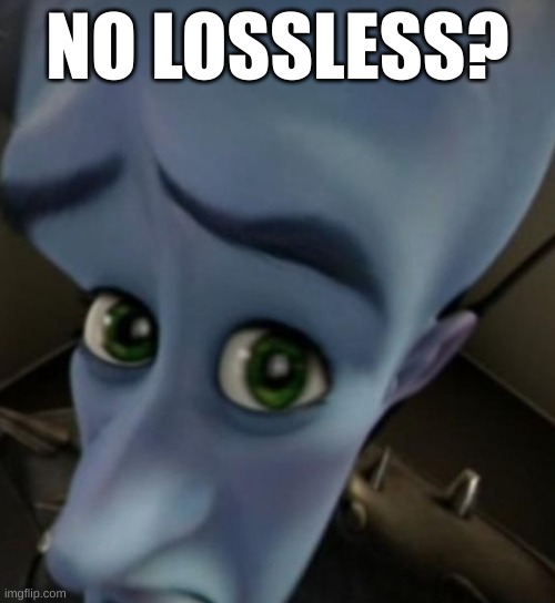 Megamind no bitches | NO LOSSLESS? | image tagged in megamind no bitches | made w/ Imgflip meme maker