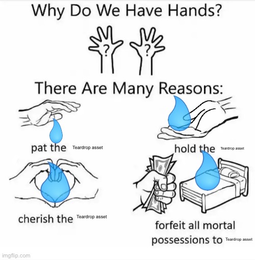 Why do we have hands? (all blank) | Teardrop asset; Teardrop asset; Teardrop asset; Teardrop asset | image tagged in why do we have hands all blank | made w/ Imgflip meme maker