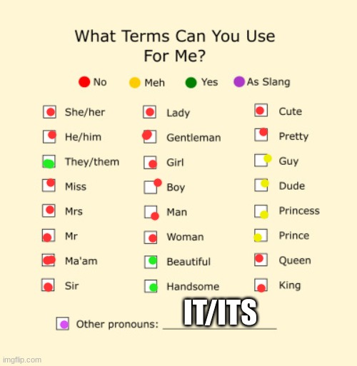Pronouns Sheet | IT/ITS | image tagged in pronouns sheet | made w/ Imgflip meme maker