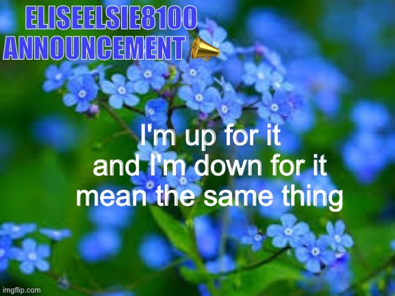 EliseElsie8100 Announcement | I'm up for it and I'm down for it mean the same thing | image tagged in eliseelsie8100 announcement | made w/ Imgflip meme maker