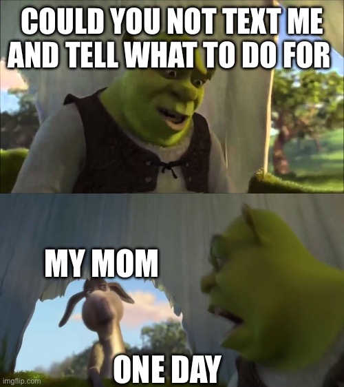shrek five minutes | COULD YOU NOT TEXT ME AND TELL WHAT TO DO FOR; MY MOM; ONE DAY | image tagged in shrek five minutes | made w/ Imgflip meme maker