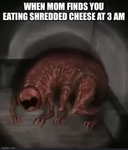 Vita carnis meme | WHEN MOM FINDS YOU EATING SHREDDED CHEESE AT 3 AM | image tagged in vita carnis meme | made w/ Imgflip meme maker