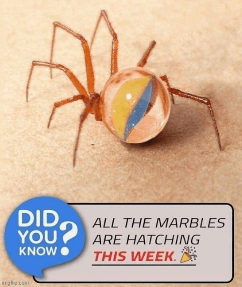 They are hatching | made w/ Imgflip meme maker