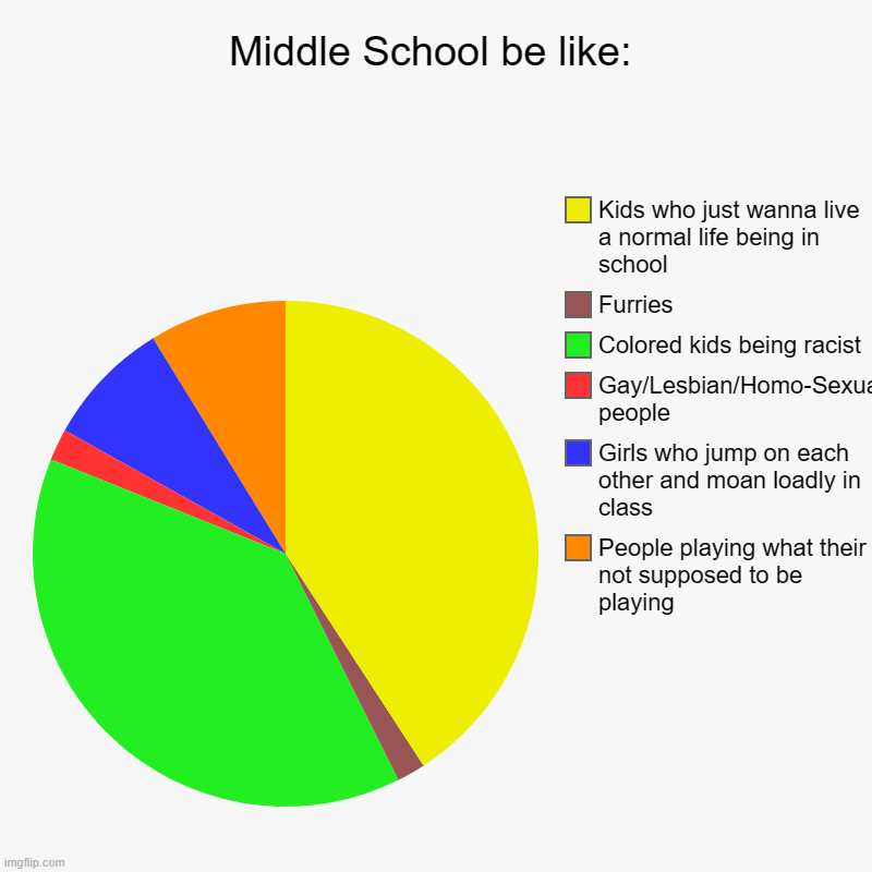 who has this rn | Middle School be like: | People playing what their not supposed to be playing, Girls who jump on each other and moan loadly in class, Gay/Le | image tagged in charts,pie charts | made w/ Imgflip chart maker