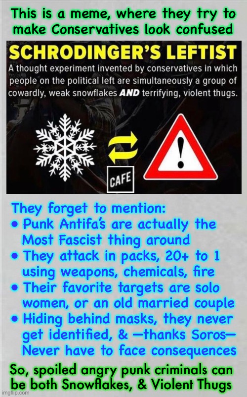 Like everything else, with them…. no consistency | This is a meme, where they try to
make Conservatives look confused; They forget to mention:
• Punk Antifa’s are actually the
  Most Fascist thing around
• They attack in packs, 20+ to 1
  using weapons, chemicals, fire
• Their favorite targets are solo
  women, or an old married couple
• Hiding behind masks, they never
  get identified, & —thanks Soros—
  Never have to face consequences; So, spoiled angry punk criminals can
be both Snowflakes, & Violent Thugs | image tagged in lefties have no values principles morals,anything goes,free stuff n destroying stuff,progressives leftists fjb voters kissmyass | made w/ Imgflip meme maker