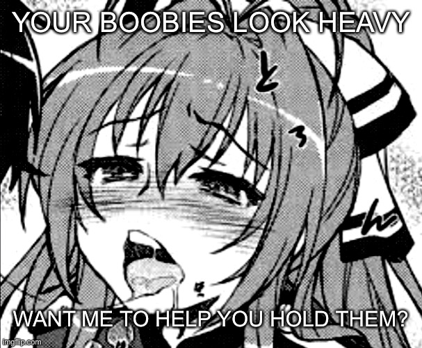 I mean the birds, of course | YOUR BOOBIES LOOK HEAVY; WANT ME TO HELP YOU HOLD THEM? | image tagged in lewd anime girl,just say no | made w/ Imgflip meme maker