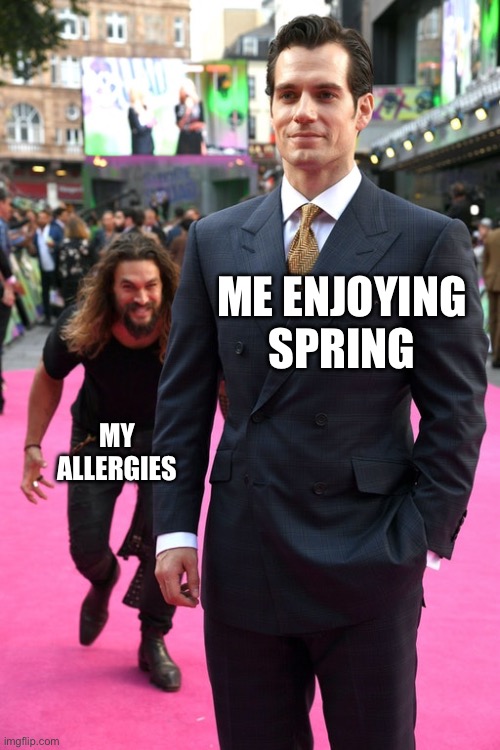 Damn Allergies Ruin Everything | ME ENJOYING SPRING; MY ALLERGIES | image tagged in jason momoa henry cavill meme,spring,allergies,pollen,oh no | made w/ Imgflip meme maker