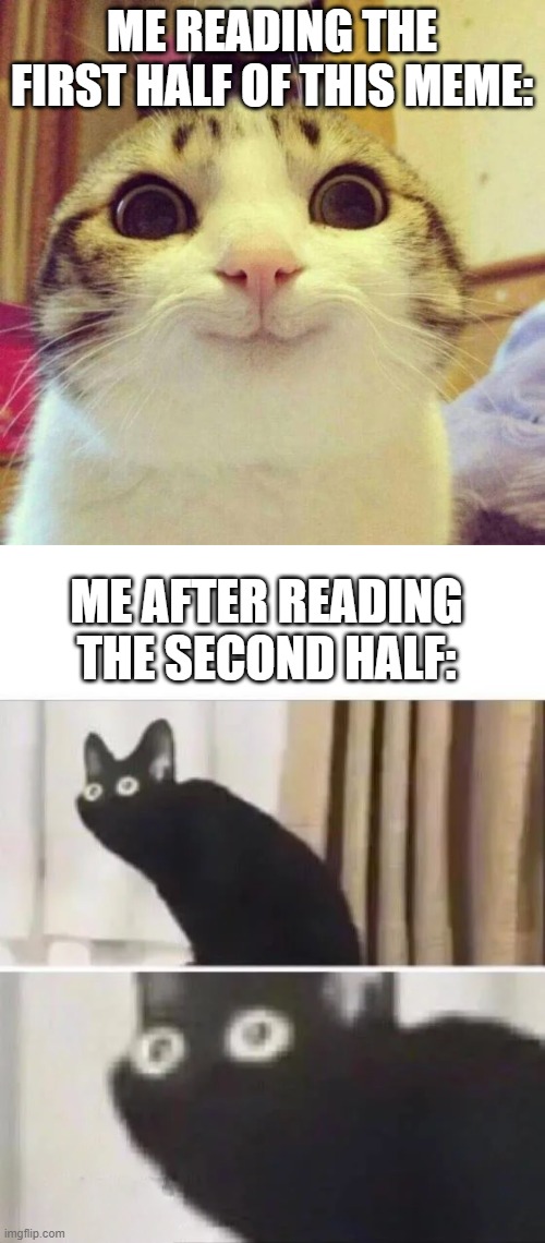 ME READING THE FIRST HALF OF THIS MEME: ME AFTER READING THE SECOND HALF: | image tagged in memes,smiling cat,oh no black cat | made w/ Imgflip meme maker