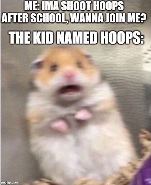 *insert skull face* | ME: IMA SHOOT HOOPS AFTER SCHOOL, WANNA JOIN ME? THE KID NAMED HOOPS: | image tagged in scared hamster,unsettled tom,scared cat,memes,funny,relatable | made w/ Imgflip meme maker
