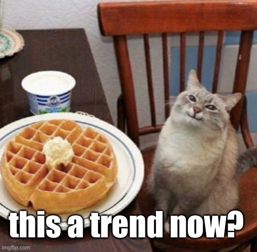 waffle waffle waffle waffle junior double triple waffle | this a trend now? | image tagged in cat likes their waffle | made w/ Imgflip meme maker