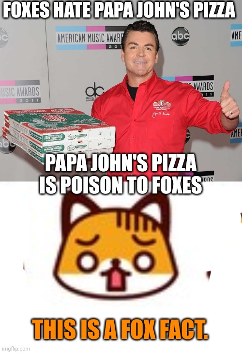Important fox facts | FOXES HATE PAPA JOHN'S PIZZA; PAPA JOHN'S PIZZA IS POISON TO FOXES; THIS IS A FOX FACT. | image tagged in papa johns,important,fox,facts | made w/ Imgflip meme maker