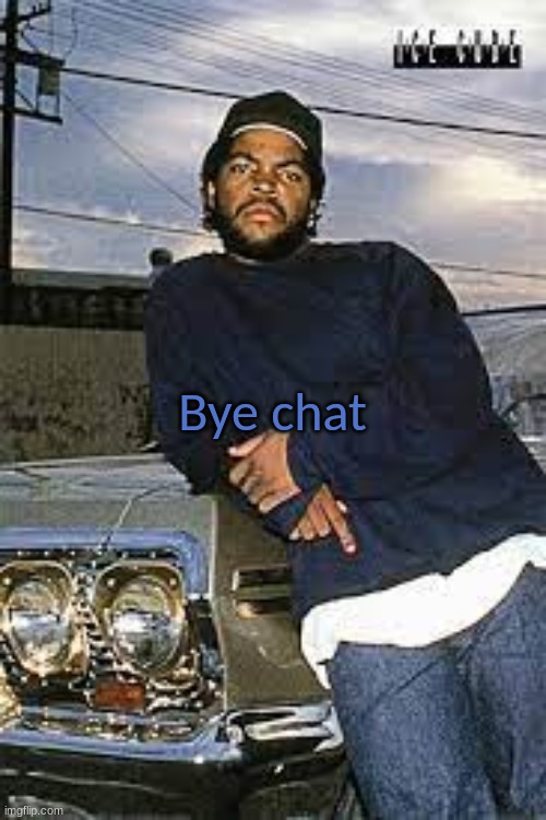 Se ya | Bye chat | image tagged in cool temp | made w/ Imgflip meme maker