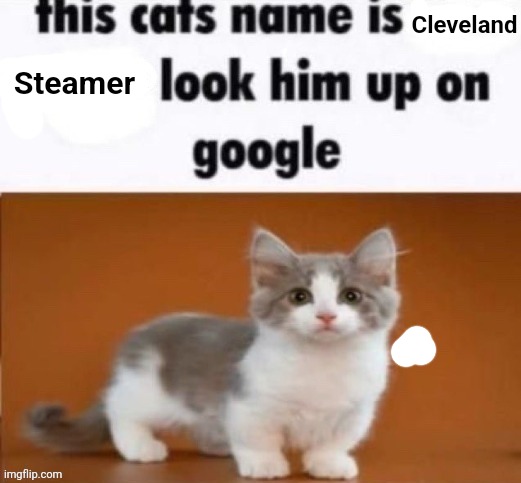 Steamer; Cleveland | made w/ Imgflip meme maker