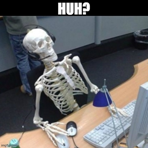 Skeleton Waiting At Computer | HUH? | image tagged in skeleton waiting at computer | made w/ Imgflip meme maker