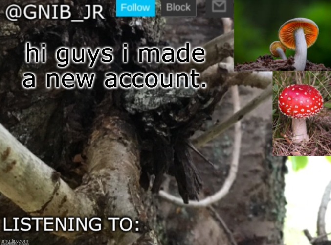 Gnib_Jr's new temp | hi guys i made a new account. | image tagged in gnib_jr's new temp | made w/ Imgflip meme maker
