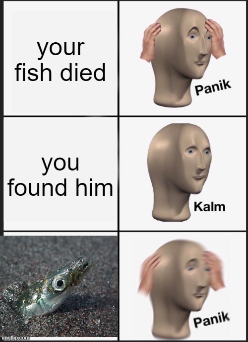 nooooo boop boop! | your fish died; you found him | image tagged in memes,panik kalm panik | made w/ Imgflip meme maker