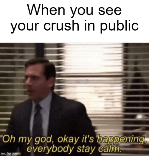 I'm pretty sure this has happened to most of us lol | When you see your crush in public | image tagged in oh my god okay it's happening everybody stay calm | made w/ Imgflip meme maker