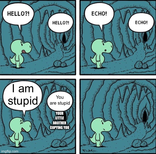 echo | I am stupid; You are stupid; YOUR LITTLE BROTHER COPYING YOU | image tagged in echo | made w/ Imgflip meme maker