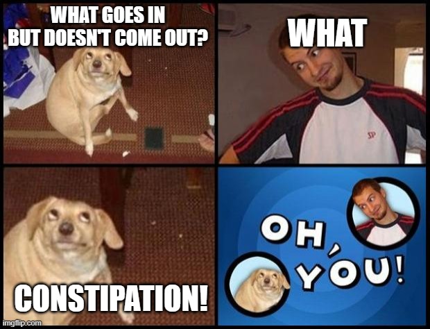 oh y-... oh.... oh, you........ | WHAT GOES IN BUT DOESN'T COME OUT? WHAT; CONSTIPATION! | image tagged in oh dear | made w/ Imgflip meme maker