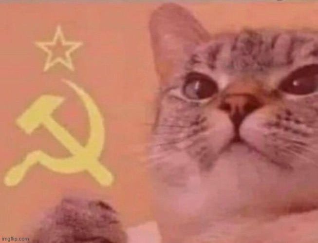 *soviet anthem* | image tagged in communist cat | made w/ Imgflip meme maker