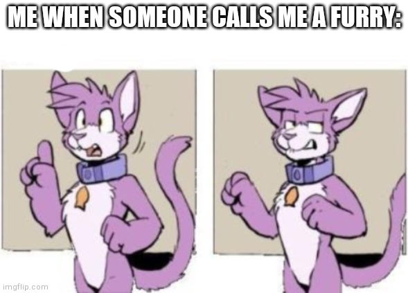 I want to say i'm not, but I know I am (Art from Housepets) | ME WHEN SOMEONE CALLS ME A FURRY: | image tagged in furry hold on | made w/ Imgflip meme maker