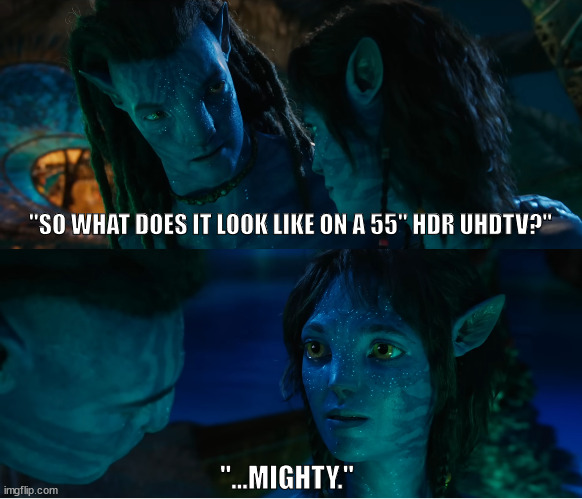Avatar Meme From An Avatar Nerd | "SO WHAT DOES IT LOOK LIKE ON A 55" HDR UHDTV?"; "...MIGHTY." | image tagged in james cameron,avatar,na'vi,blue,aliens,movie | made w/ Imgflip meme maker