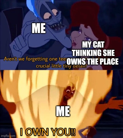 My cat be like | ME; MY CAT THINKING SHE OWNS THE PLACE; ME | image tagged in hades and meg,hercules hades,hercules | made w/ Imgflip meme maker