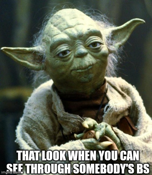 Star Wars Yoda | THAT LOOK WHEN YOU CAN SEE THROUGH SOMEBODY'S BS | image tagged in memes,star wars yoda | made w/ Imgflip meme maker