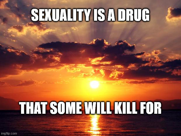 Sunset | SEXUALITY IS A DRUG; THAT SOME WILL KILL FOR | image tagged in sunset | made w/ Imgflip meme maker