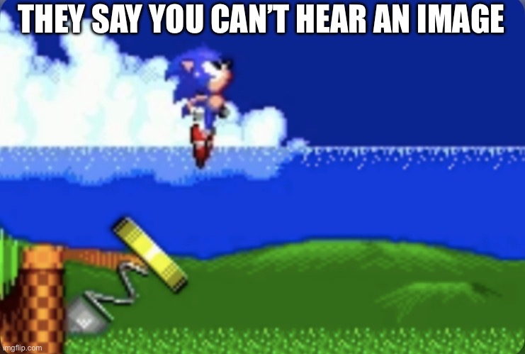 Can You Hear It? | THEY SAY YOU CAN’T HEAR AN IMAGE | image tagged in sonic the hedgehog,sonic,video games,you cant hear an image,image | made w/ Imgflip meme maker