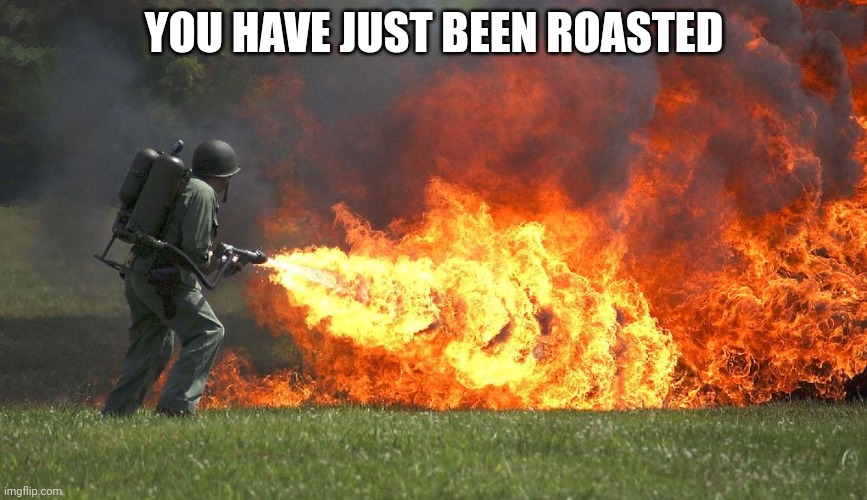 flammenwerfer | YOU HAVE JUST BEEN ROASTED | image tagged in flammenwerfer | made w/ Imgflip meme maker