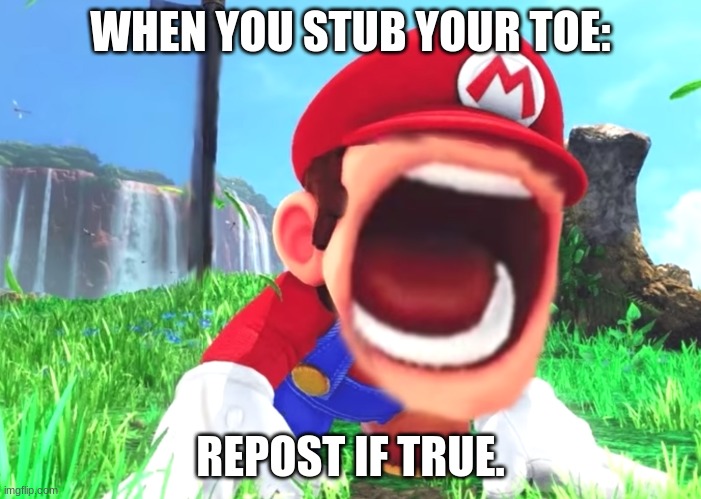 Mario screaming | WHEN YOU STUB YOUR TOE:; REPOST IF TRUE. | image tagged in mario screaming | made w/ Imgflip meme maker