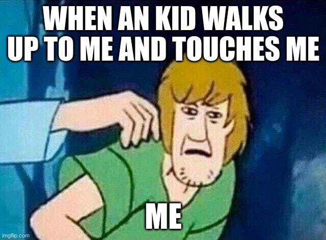 SCOOBY DOO meme | WHEN AN KID WALKS UP TO ME AND TOUCHES ME; ME | image tagged in scooby doo shaggy | made w/ Imgflip meme maker