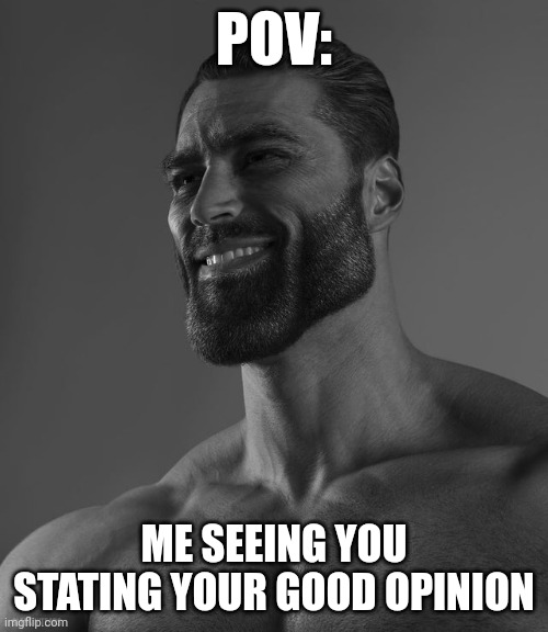 Giga Chad | POV: ME SEEING YOU STATING YOUR GOOD OPINION | image tagged in giga chad | made w/ Imgflip meme maker