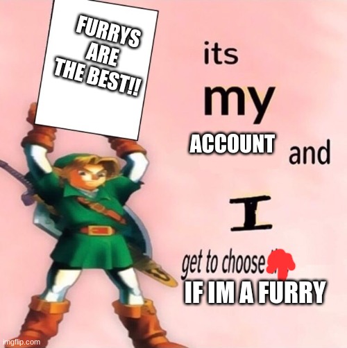It's my ... and I get to choose the ... | FURRYS ARE THE BEST!! ACCOUNT; IF IM A FURRY | image tagged in it's my and i get to choose the | made w/ Imgflip meme maker
