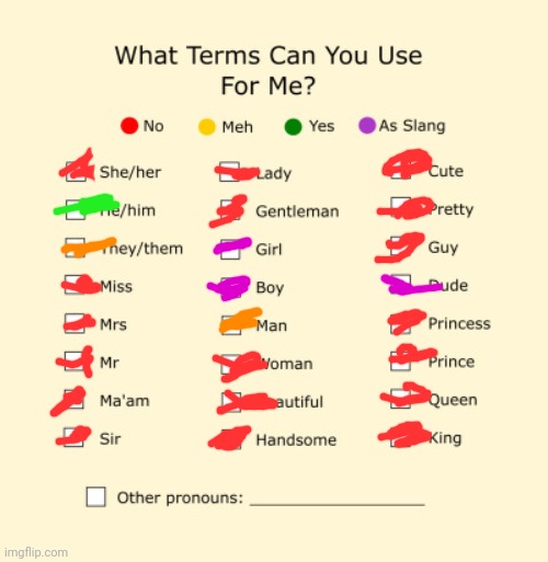Pronouns | image tagged in pronouns sheet | made w/ Imgflip meme maker