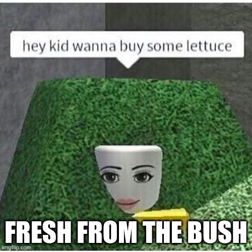 Lettuce | FRESH FROM THE BUSH | image tagged in roblox,lettuce,food,cursed image,lol | made w/ Imgflip meme maker