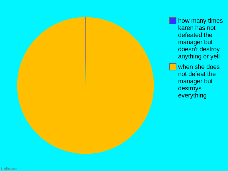 karen chart for destruction! | when she does not defeat the manager but destroys everything, how many times karen has not defeated the manager but doesn't destroy anything | image tagged in charts,pie charts | made w/ Imgflip chart maker